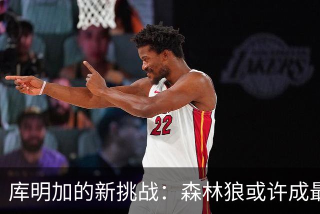 库明加的新挑战：森林狼或许成最佳选择