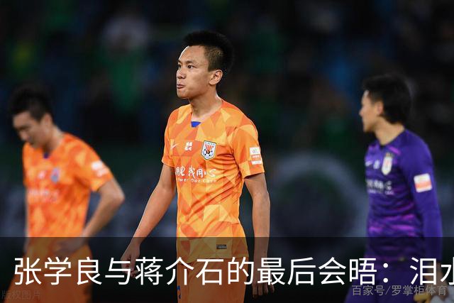 张学良与蒋介石的最后会晤：泪水与绝望交织的瞬间